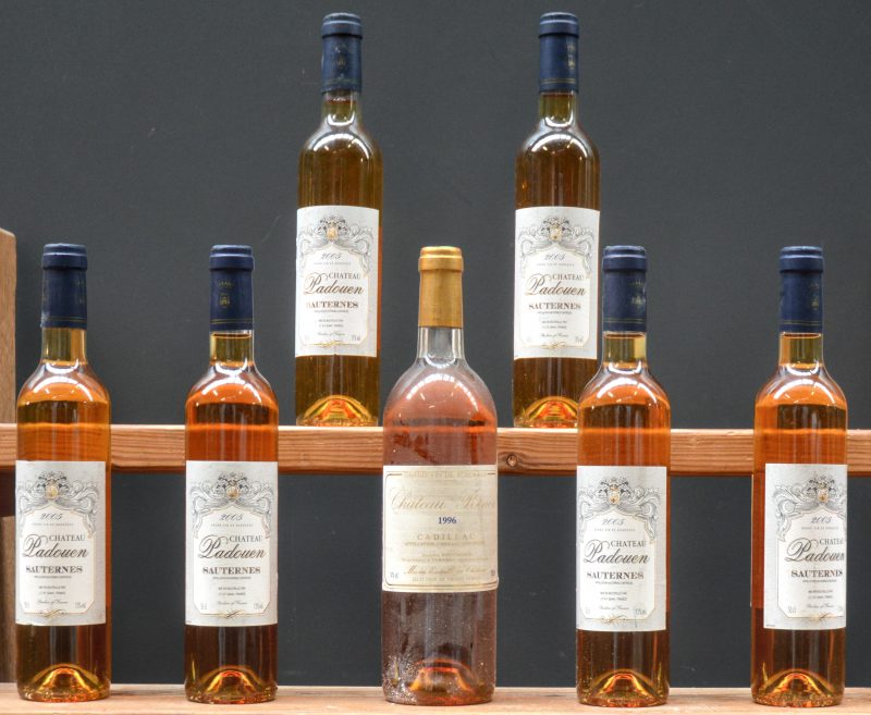 Lot witte bordeaux        aantal: 7     Ch. Renon A.C. Cadillac   M.C.  1995  aantal: 1 bt    Ch. Padouen A.C. Sauternes   M.O.  2005  aantal: 6 50 cl