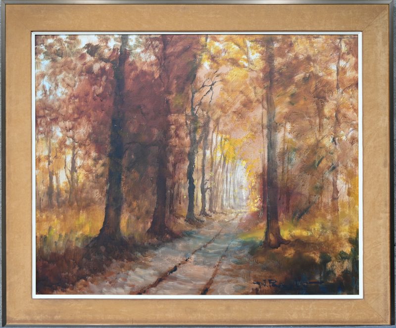 “Bosdreef in de herfst”, een schilderij, olieverf op gemaroufleerd doek, gesigneerd H.J. Pauwels.