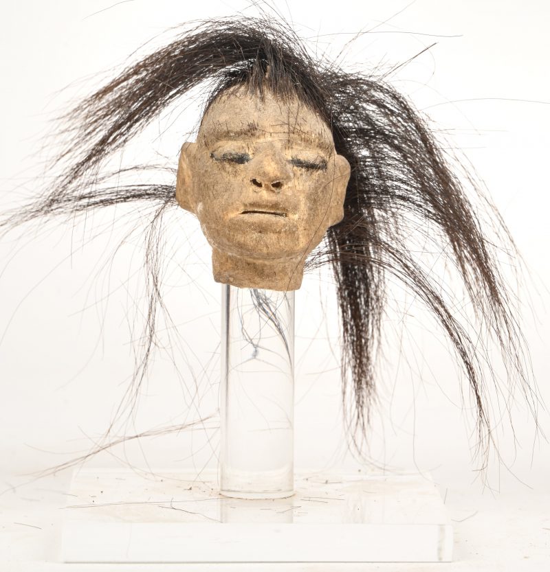 Een “shrunken head” met echt haar. Op een transparant sokkeltje.