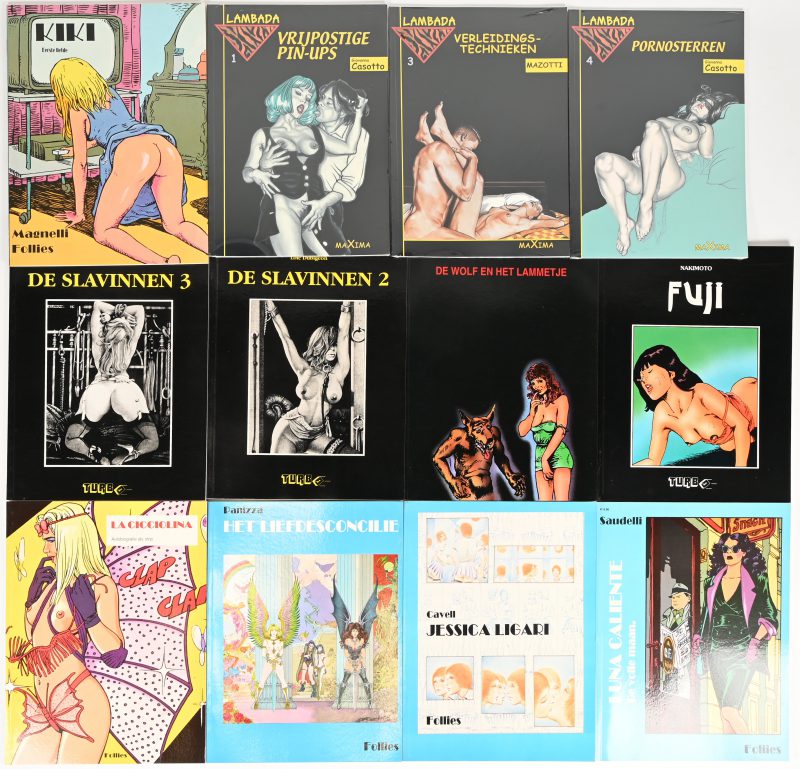 Een lot van 12 erotische strips met softcover bestaande uit: Vrijpostige pin-ups, Verleidingstechnieken, Pornosterren, Fuji, De wolf en het lammetje, De slavinnen 2- en 3, Kiki eerste liefde, Luna Caliente de volle maan, Jessica Ligari, Het liefdesconcilie en La Cicciolina.