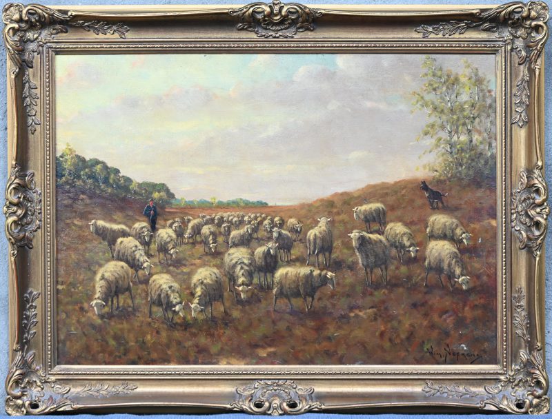 “Schapenkudde ten velde”, een schilderij, olieverf op doek, gesigneerd Wim Nefkens.