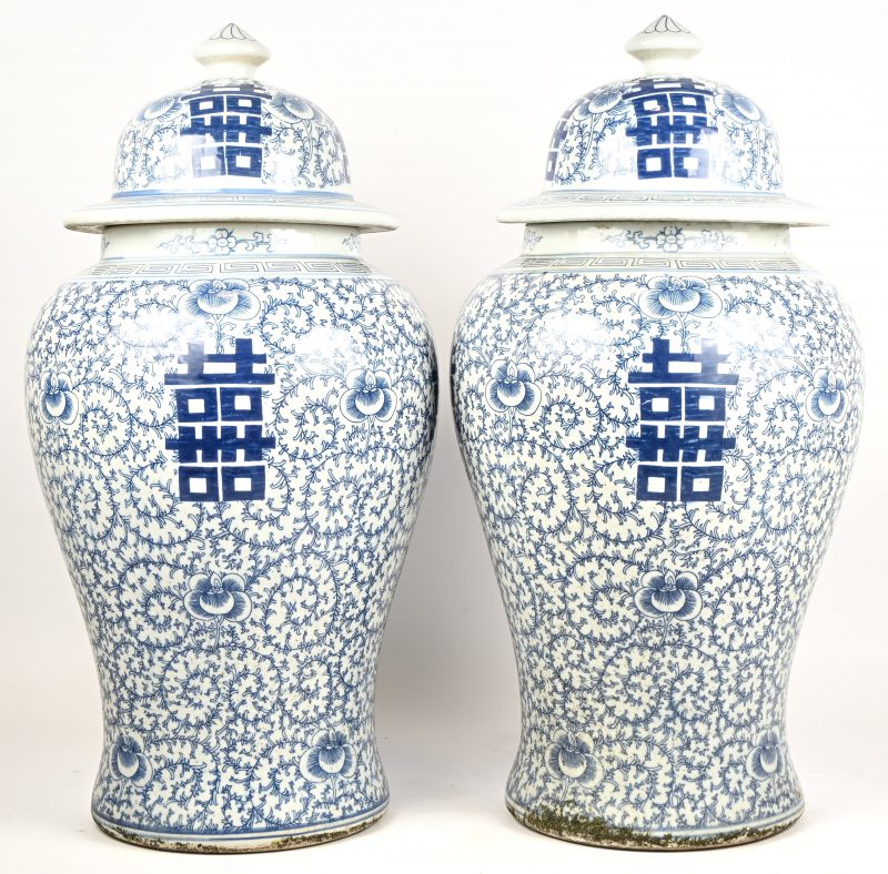 Een paar Chinees porseleinen blauw en witte dekselpotten met levensteken.