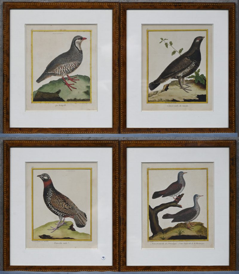 Een set van 4 ingekleurde lithografiën met ornitologisch onderwerp, dessiné et gravé par Martinet, bestaande uit: Gélinole mâle du Canada, la Bartavelle, Francolin mâle en petite tourtelle de St. Dominique & de la Martinique.