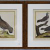 Een set van 4 ingekleurde lithografiën met ornitologisch onderwerp, dessiné et gravé par Martinet, bestaande uit: Gélinole mâle du Canada, la Bartavelle, Francolin mâle en petite tourtelle de St. Dominique & de la Martinique.