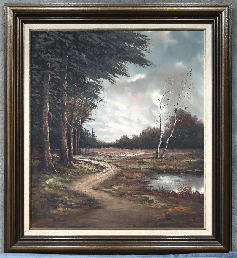 Heidezicht. Olieverfschilderij op doek getekend; B Van Rijn.