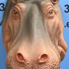 Een levensgrote nijlpaardenkop van polyester.