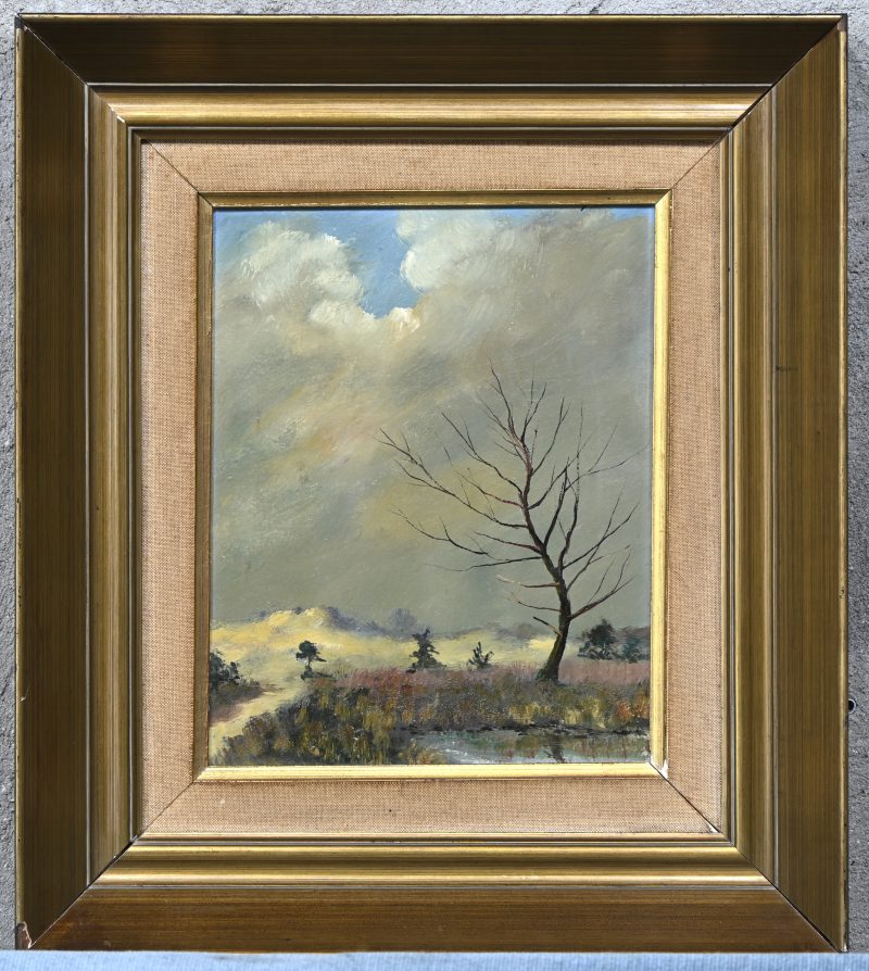 ‘Heidezicht met donkere wolken’ Olieverf op paneel. Niet getekend.
