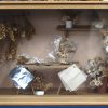 Een lot van 2 letterkasten met allerlei decoratie, van gesteenten en schelpen tot poppenkastaccessoires. Toegevoegd 2 miniatuurtaferelen in vitrinekastjes.