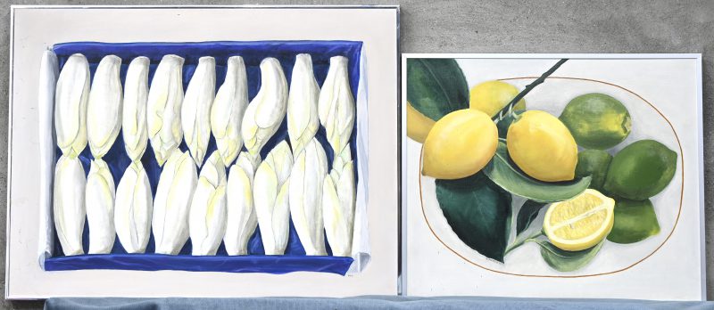 ‘Witloof en citrusfruit’. Een lot van twee schilderijen, getekend M. Harrewyn.