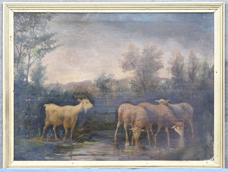 ‘Geit en drie schapen aan de waterpoel’. Herdoekt 19e eeuws schilderij. Olie op doek, niet getekend.