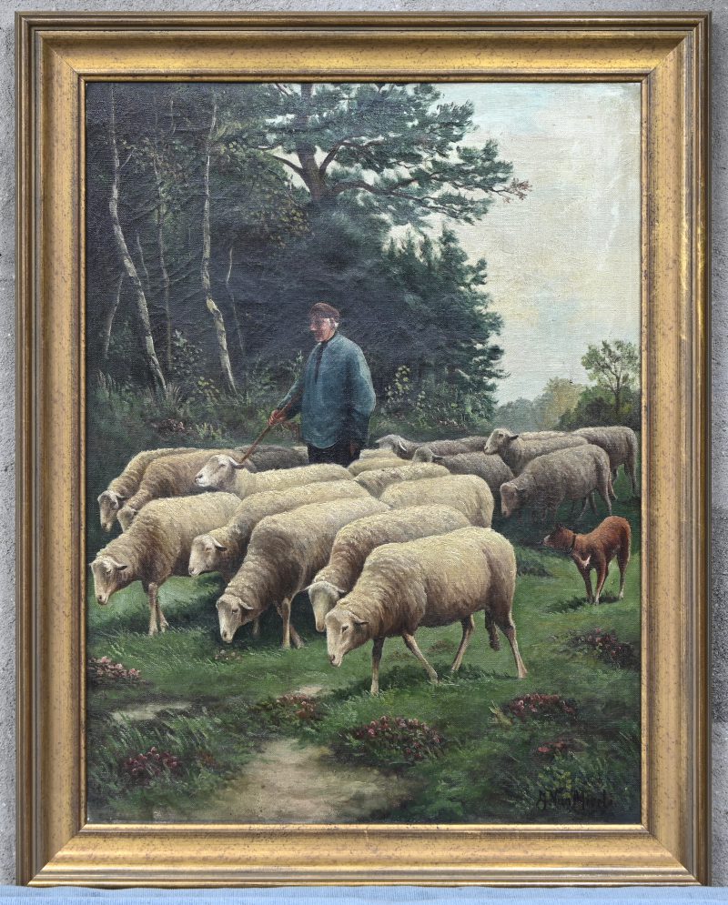 ‘Schapenhoeder’. Olieverf op doek, getekend.