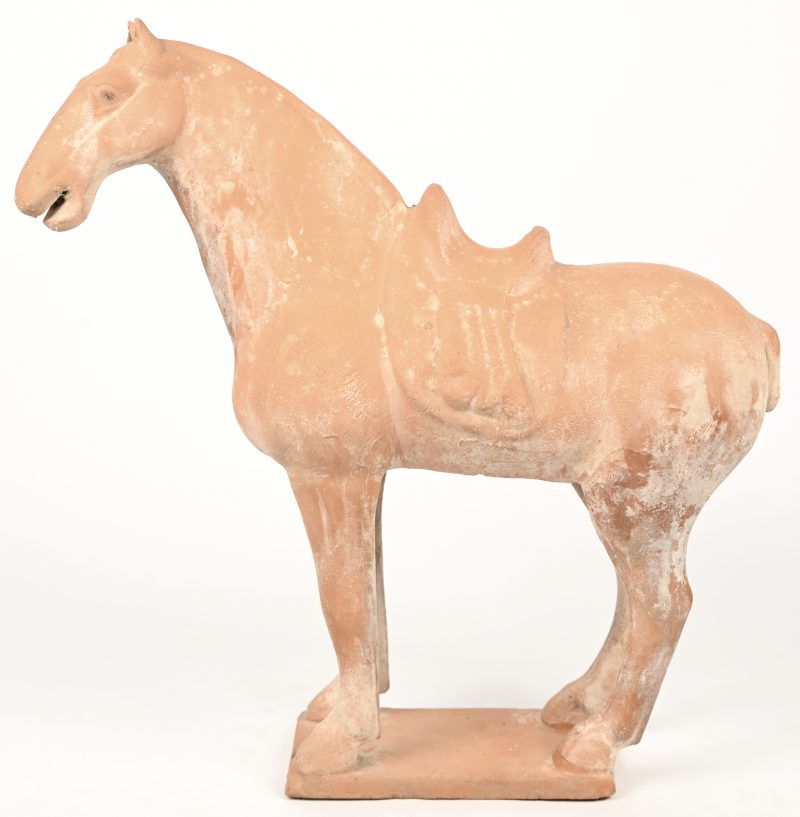 Terracotta Tang paard.