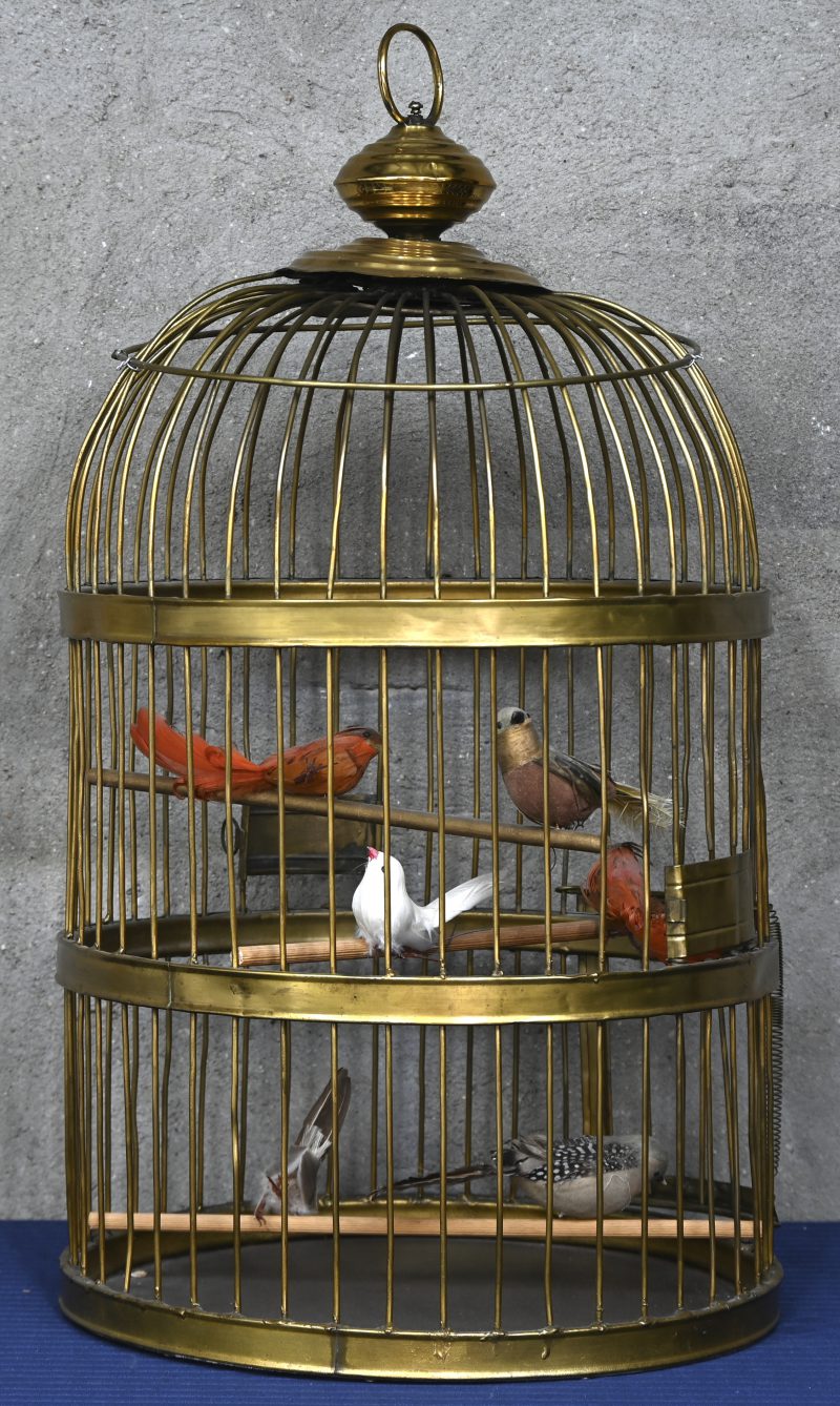 Een grote decoratieve koperen vogelkooi met hierin 6 kleurrijke vogeltjes.