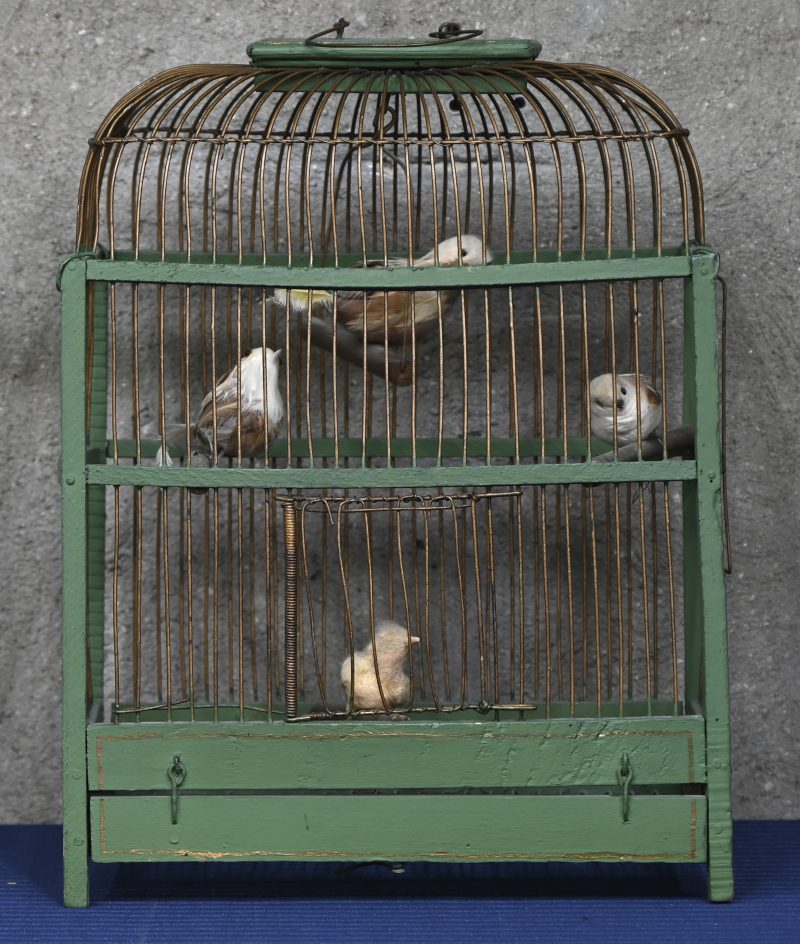 Een groen geschilderd houten vogelkooitje met metalen tralies waarin 4 imitatievogeltjes.