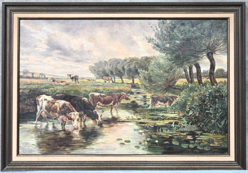 “Koeien in de sloot”, een schilderij, olieverf op doek, niet gesigneerd.