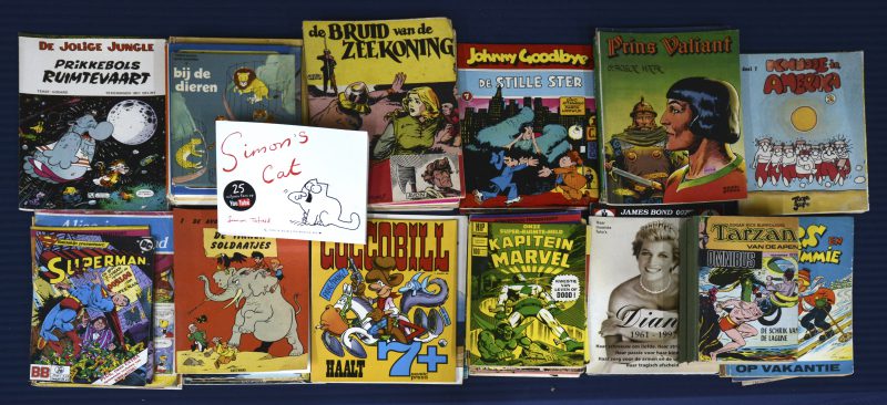 Een lot van 62 Nederlandstalige stripalbums en comics: Tarzan, Simon’s Cat, Dennis, Spider Man, Superman, Storm e.a. Worden toegevoegd een aantal tijdschriften en kinderboekjes.