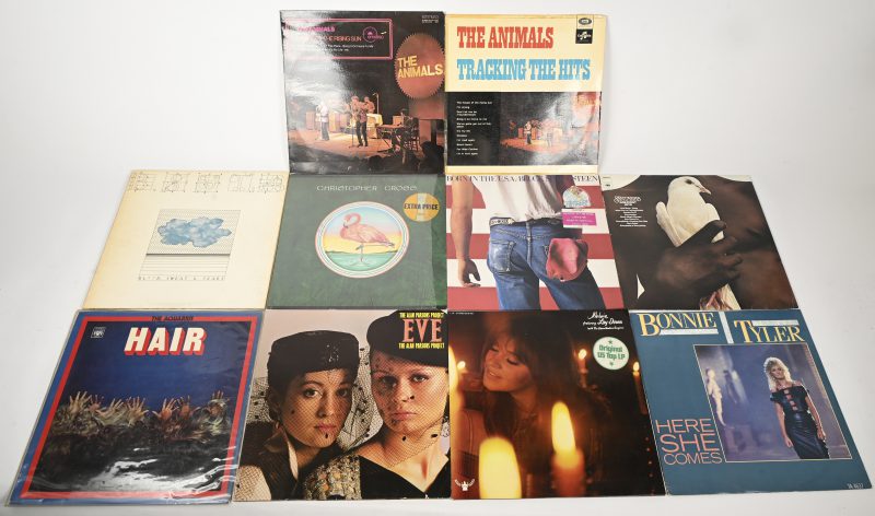 Een gevarieerd lot vinylplaten, Santana, Bonnie Tyler, 2x The Animals, Melanie, Bruce Springsteen, The Alan Parsons Project, Christopher Cross, Hair en Blood Sweat & Tears.