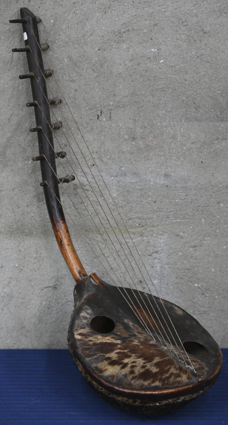 Afrikaans snaarinstrument. Hout en geitenleer.