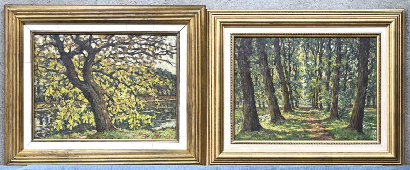 Een paar impressionistische landschappen met bomen. Olieverf op board. Gesigneerd.