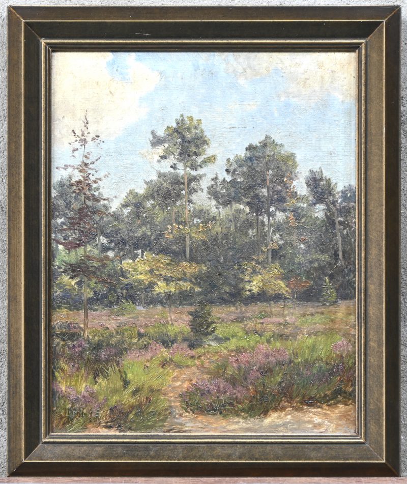 “Heidezicht”, een schilderij, olieverf op paneel, gesigneerd Edg Farazyn. Achteraan gedateerd 20-3-1931.