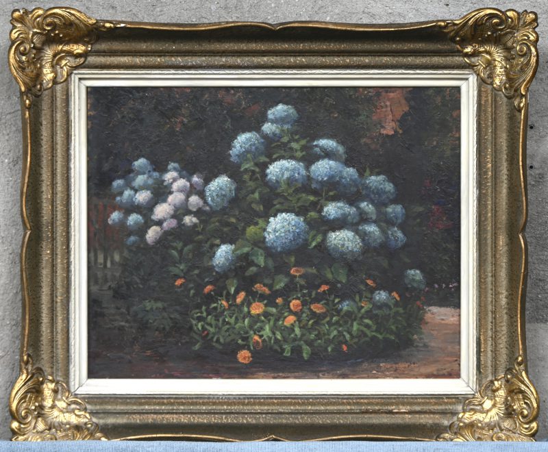 ‘Bloemenstruik met hortensias’. Olieverf op paneel, niet getekend.