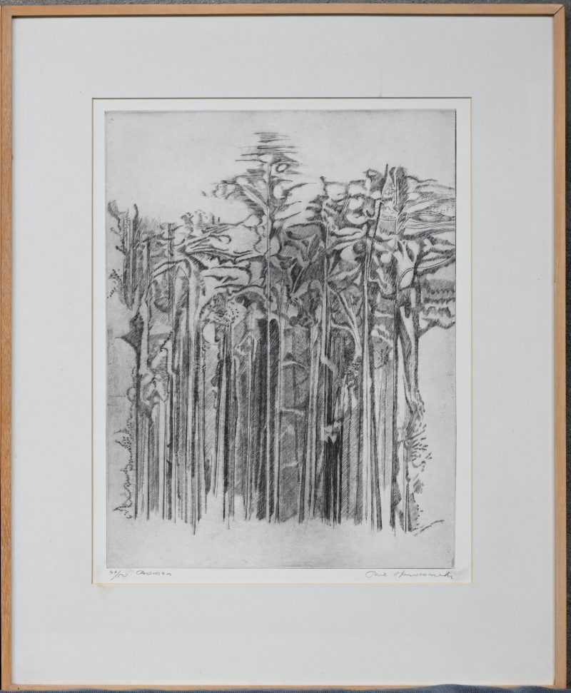 “Bomen”. Gravure. Gesigneerd en genummerd 44/50 buiten de plaat. 1 kader te herstellen.
