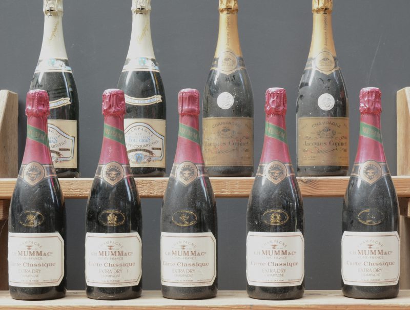 Lot champagne        aantal: 9 bt    Champagne extra dry Carte Classique   Ch. Mumm & Cie, Reims M.O.    aantal: 5 bt    Champagne Blanc de Blancs   Jacques Copinet, Montgenost M.O.    aantal: 2 bt