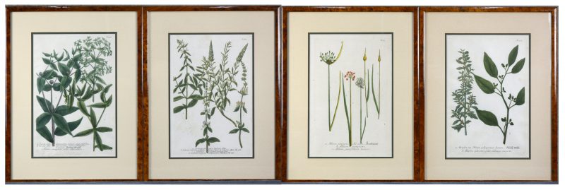 Een lot van 4 fotolithografische reproducties naar 18e eeuwse botanische prenten.Een lot verder te verdelen bestaande uit 10 kaders, een kunstmap, een werk van Alfred Ost, een houten bord en een boek bijhorend bij een schilderij.
