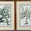 Een lot van 4 fotolithografische reproducties naar 18e eeuwse botanische prenten.Een lot verder te verdelen bestaande uit 10 kaders, een kunstmap, een werk van Alfred Ost, een houten bord en een boek bijhorend bij een schilderij.