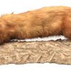 Een lot van 4 stuks taxidermie bestaande uit een alligator met 3.5 poten, een fret en 2 wezeltjes.