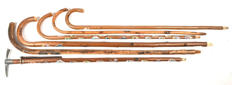 Een lot van zes houten wandelstokken waarvan één met een handvat in de vorm van een houweel.