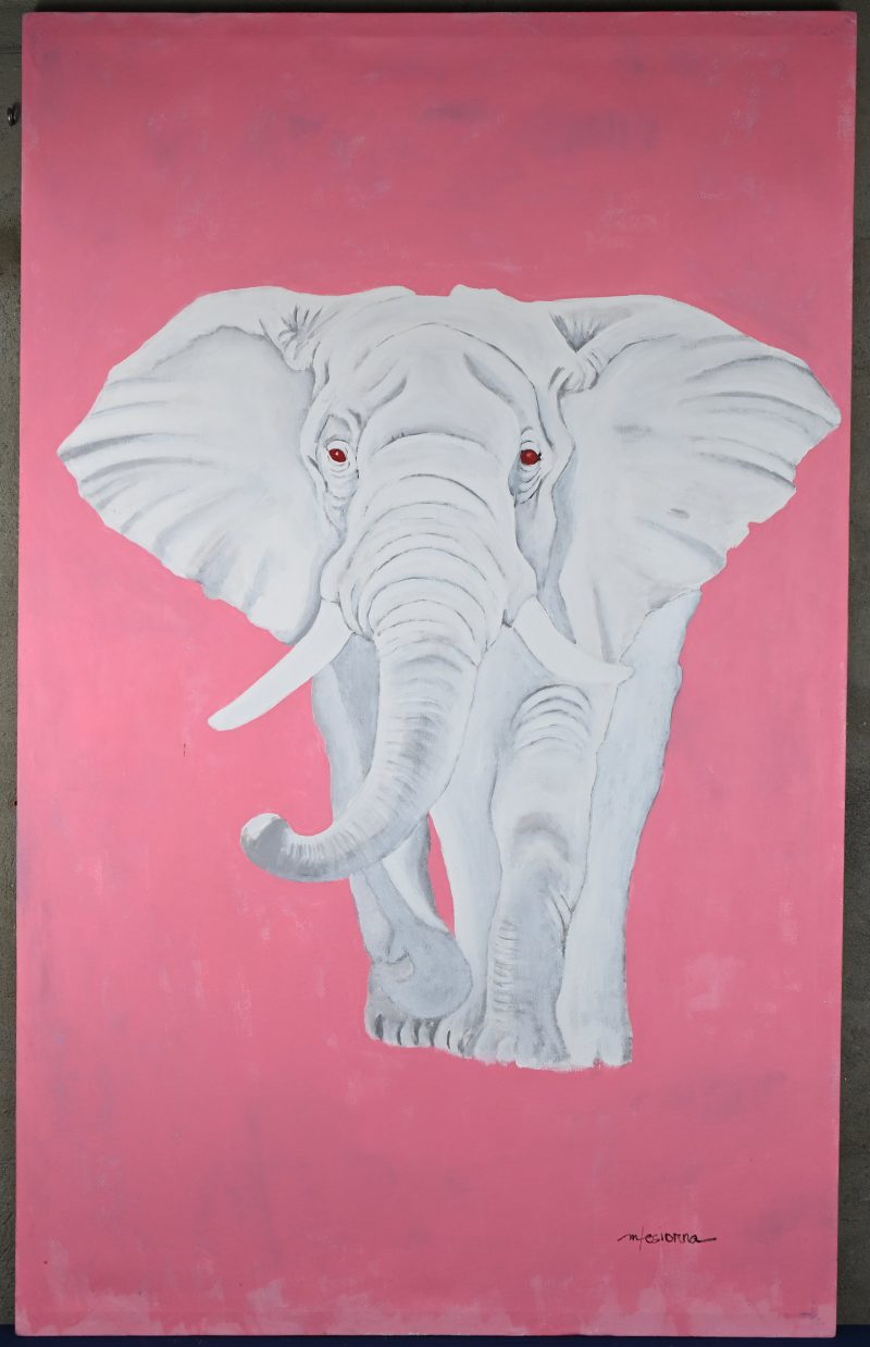 ‘Albino Elephant’, acryl op doek, getekend; Mhara M. Tesiorna. Met certificaat.