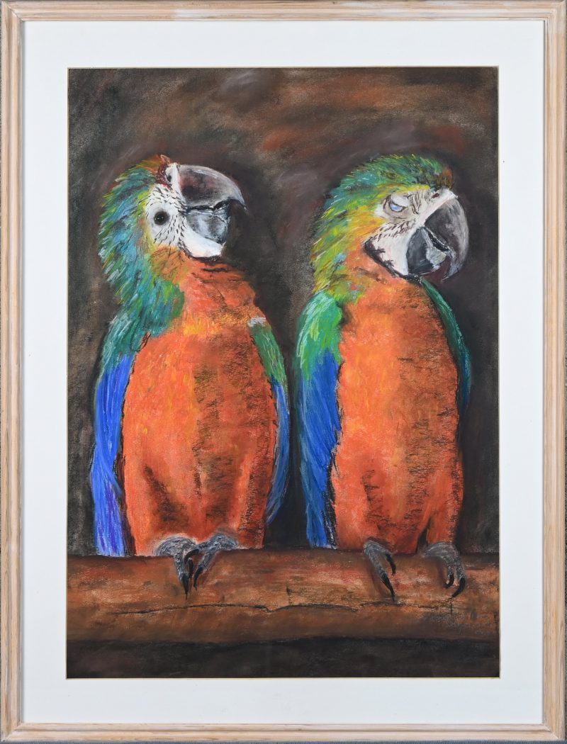 ‘Twee Papegaaien’, tekening in gemengde techniek. Getekend; Ghislaine Van Strydonck, 1977.