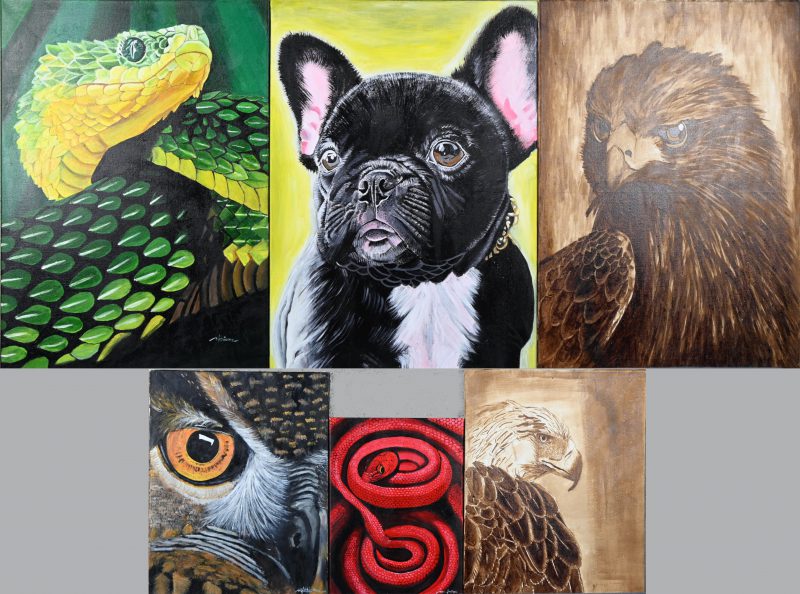 Een lot van zes schilderijen met dieren als thema, acryl op doek, getekend; Mhara M. Tesiorna. Verschillende afmetingen van, 40/30 tot 70/50 cm. Met certificaat.