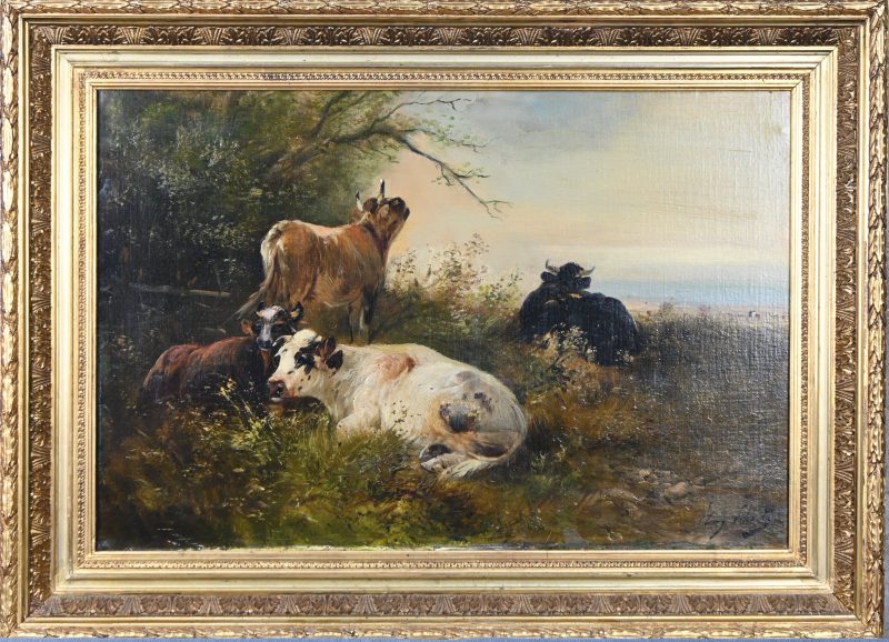 “Vee aan de heide”, een schilderij, olieverf op doek (herdoekt), gesigneerd Henry Schouten.