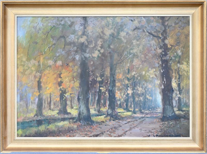 ‘Herfstbos’, olieverf op doek. Getekend; H. J. Pauwels.