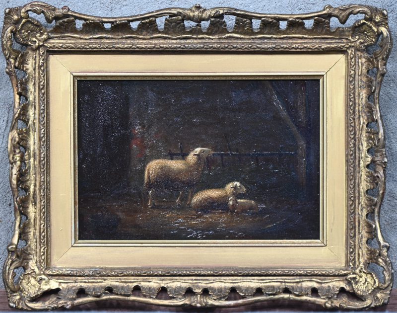 ‘Schapen op stal’, olieverf op paneel. Toegeschreven aan Auguste Coomans. Niet getekend.