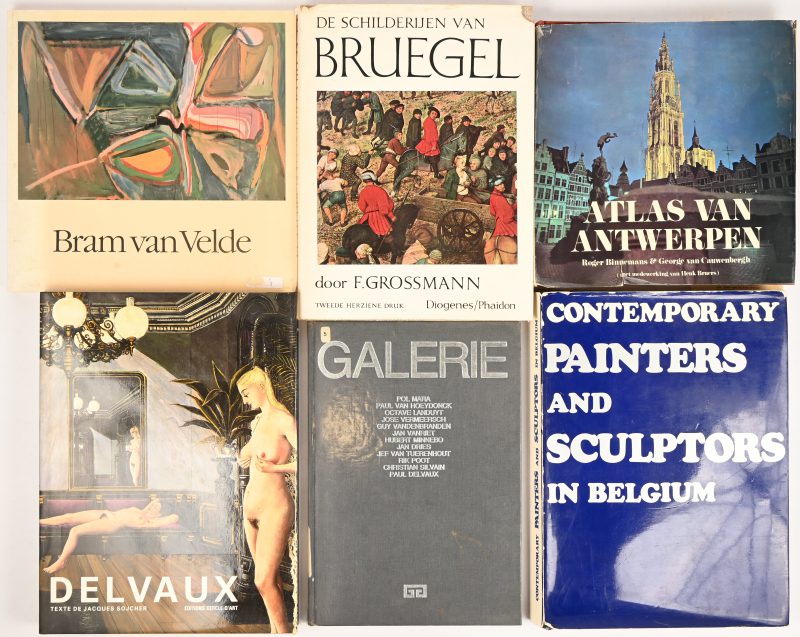 Een lotje kunstboeken met als thema de lage landen. Omvat titels over o.a. Bram Van De Velde, Breugel en een engelstalige uitgave over hedendaagse schilders en beeldhouwers uit België.