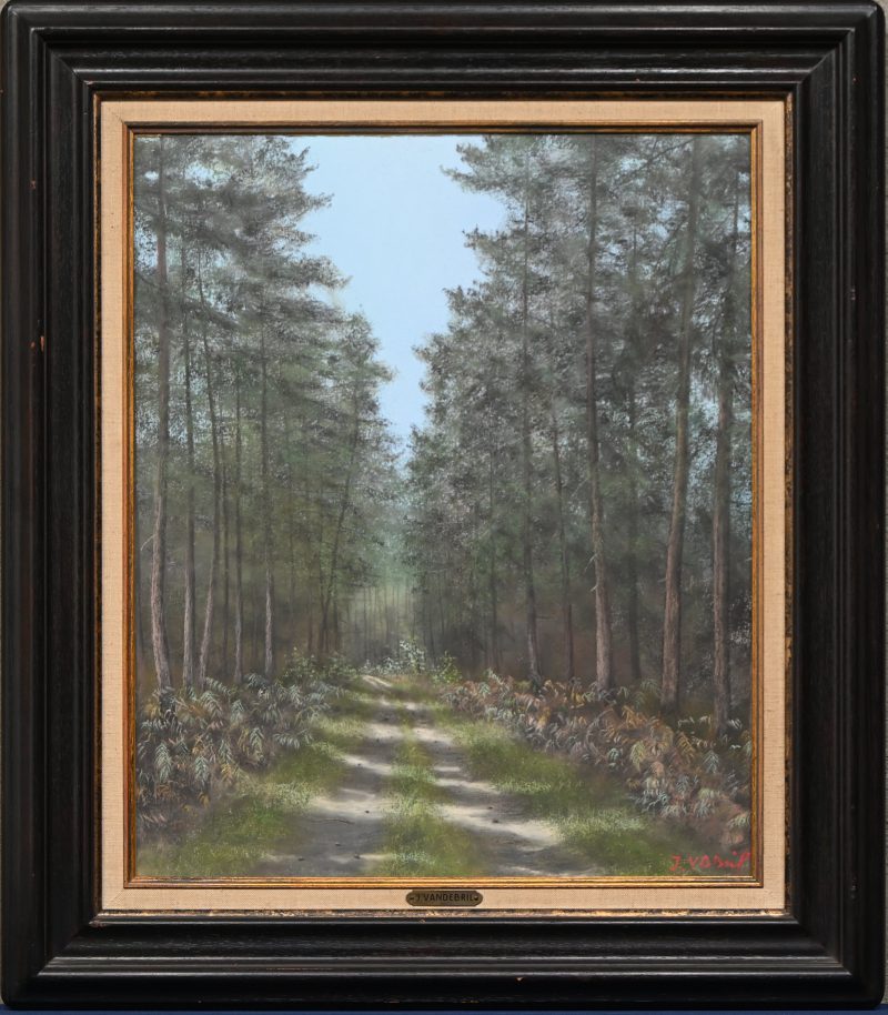 ‘Bosweg’, krijttekening op papier. Getekend; J. Van De Bril.