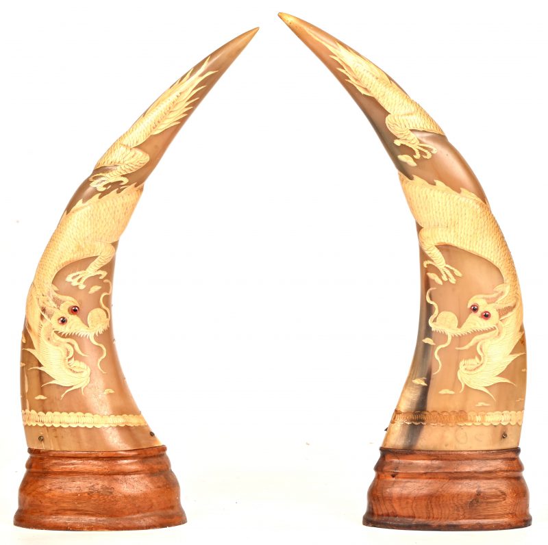 Een paar horens gedecoreerd met draken. Gemonteerd op een houten voetje.