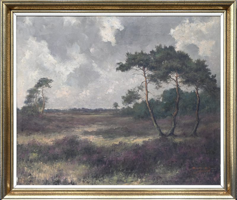 ‘Heidezicht’, olieverf op doek. Onleesbaar getekend.