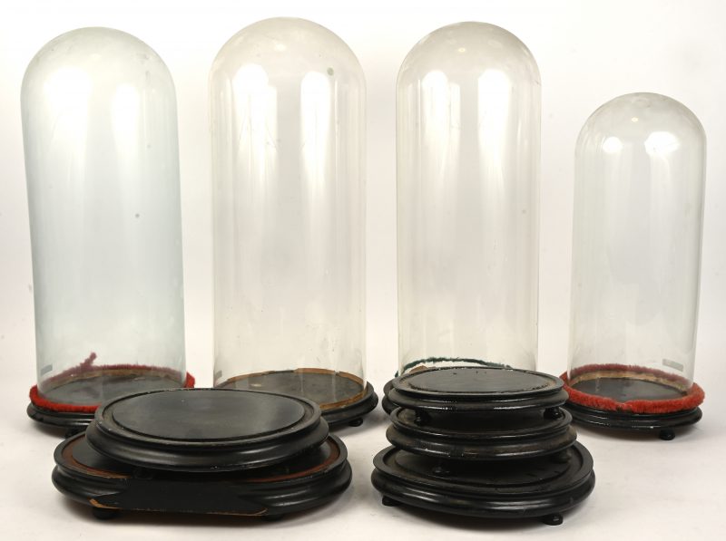 Een lot van 4 oude glazen stolpen, toegevoegd een hoedendoos met houten stolpvoeten.