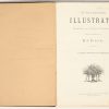 “De Katholieke Illustratie”, jaargang 22, 1888/1889.