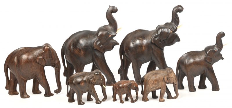 Een lot van 7 gesculpteerd houten beeldjes van olifanten, Afrikaanse origine.