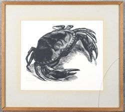 Lot #167