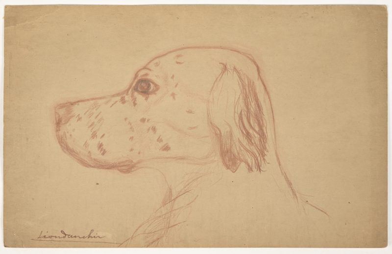 ‘Engelse setter’, een tekening in rood krijt. Getekend; Leon Danchin.