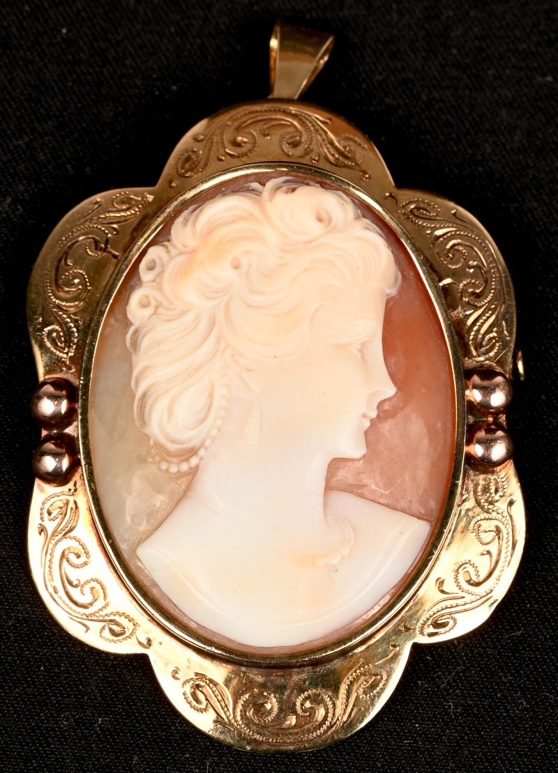 Een geelgouden hanger-broche bezet met een camee. 375 gemerkt.
