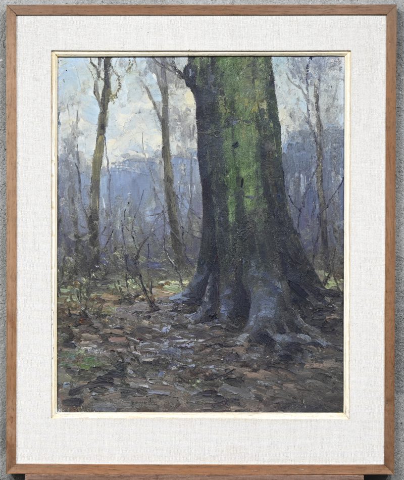 “Boszicht met bemoste stam”, een schilderij, olieverf op gemaroufleerd doek, gesigneerd.