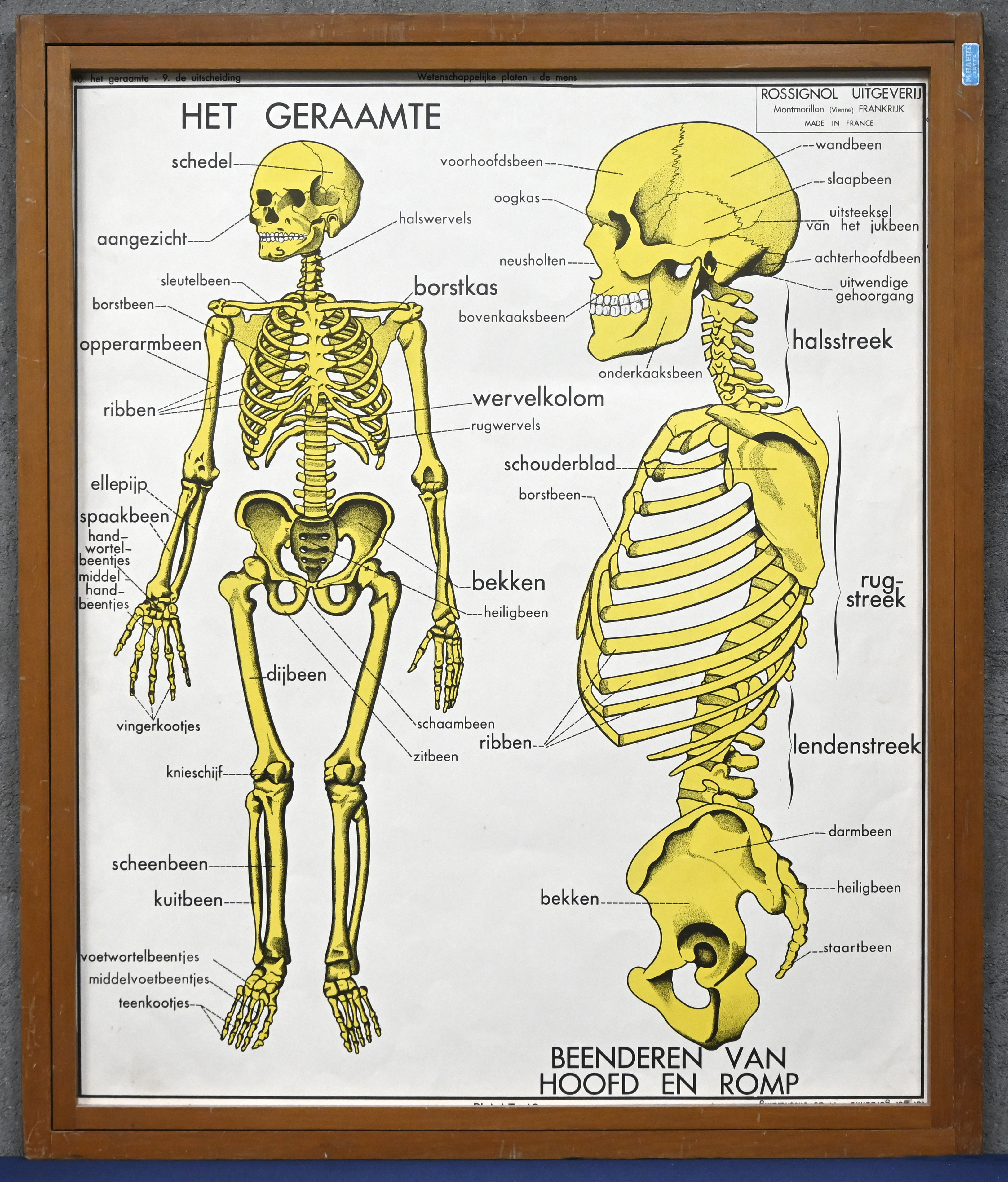 Een vintage schoolkaart in houten kader met prenten van de menselijke anatomie, Nederlandstalige uitgave. Bevat 11 recto verso kaarten. Uitgegeven door Rossignol, Frankrijk Een vintage schoolkaart in houten kader met prenten van de menselijke anatomie, Nederlandstalige uitgave. Bevat 11 recto verso kaarten. Uitgegeven door Rossignol, Frankrijk.