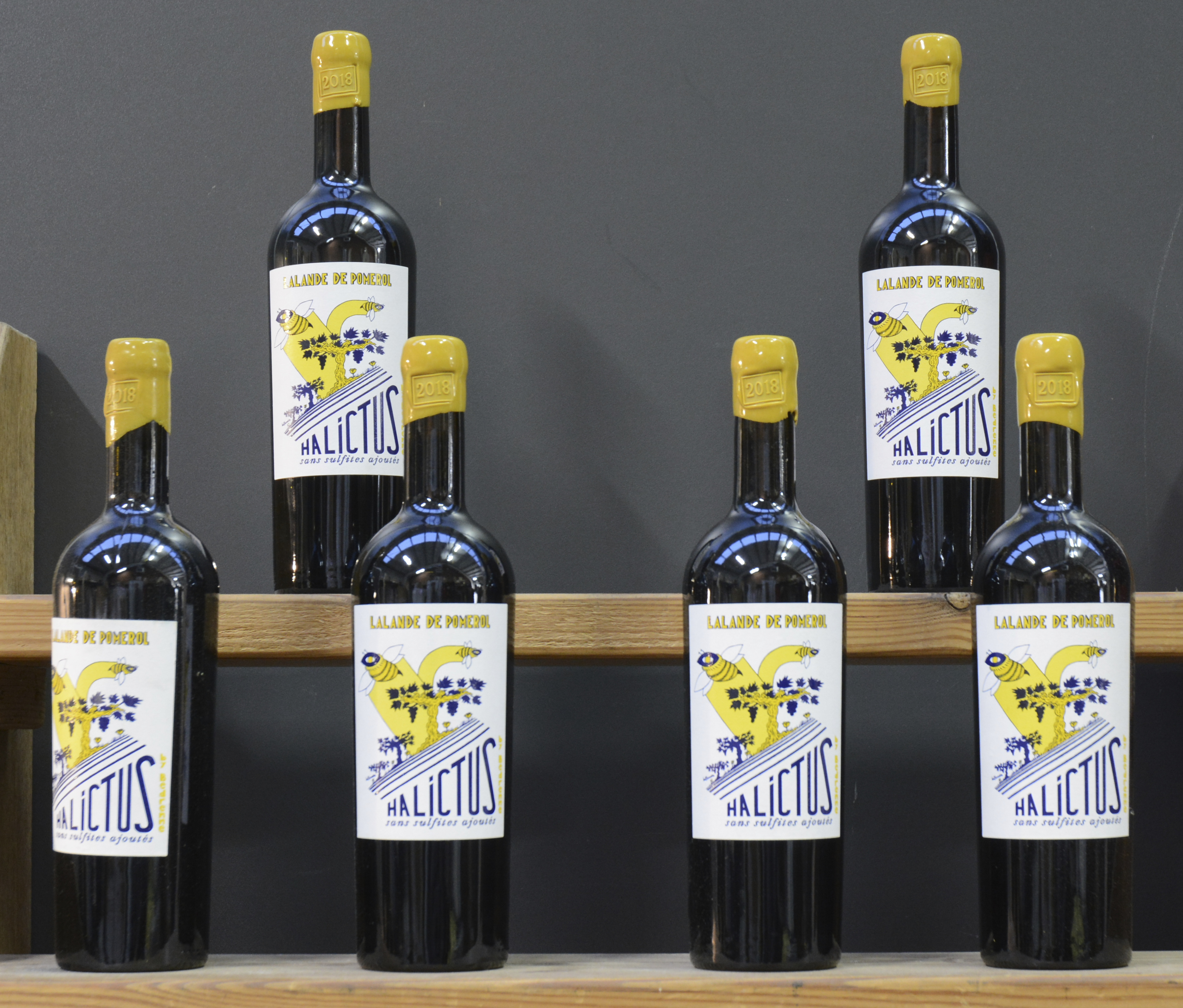 Halictus A.C. Lalande-de-Pomerol M.P. O.D Halictus A.C. Lalande-de-Pomerol M.P. O.D. 2018 aantal: 6 bt